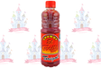 CHAMOY 24/500 ML TORITO - EL CASTILLO DEL DULCE